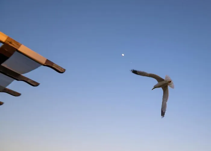 Royal Bay With Self Check-in Otel 3*